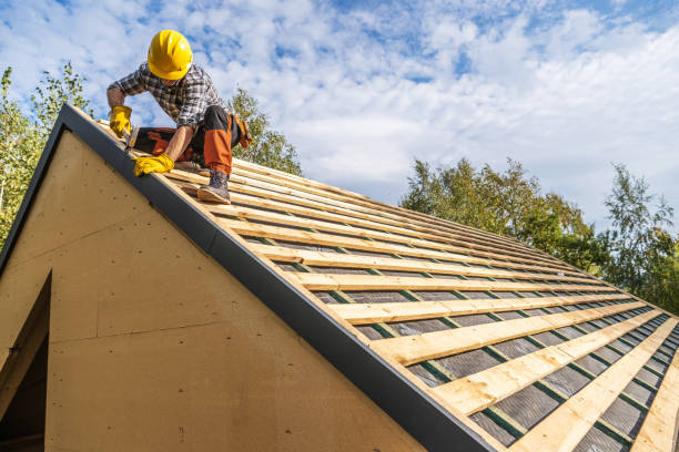 Best Gutter Installation and Roofing  in Henderson, GA